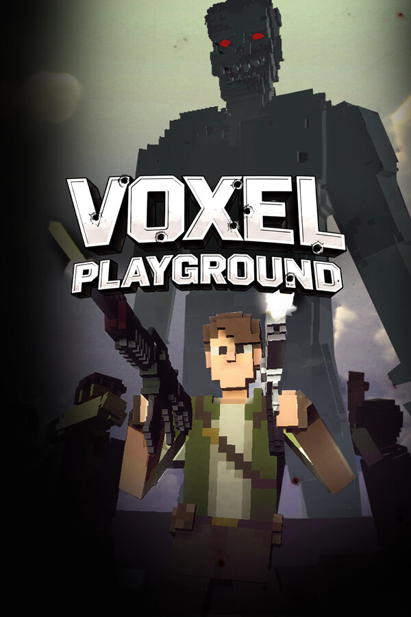 Voxel Playground封面